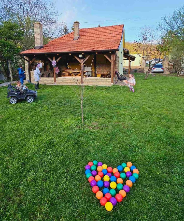 Villa Fruska House Besenovacki Prnjavor Esterno foto