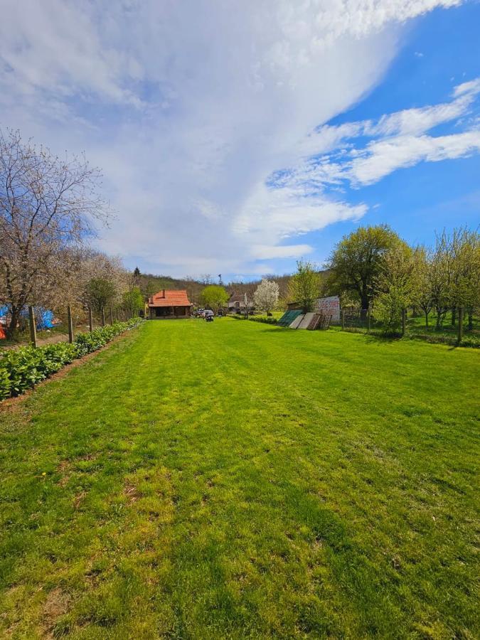 Villa Fruska House Besenovacki Prnjavor Esterno foto