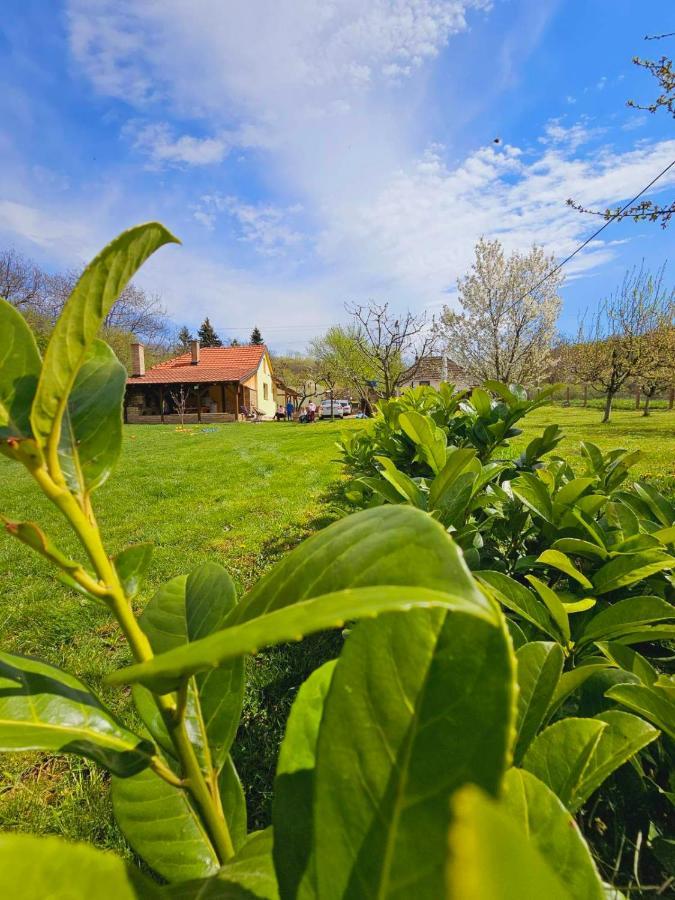 Villa Fruska House Besenovacki Prnjavor Esterno foto