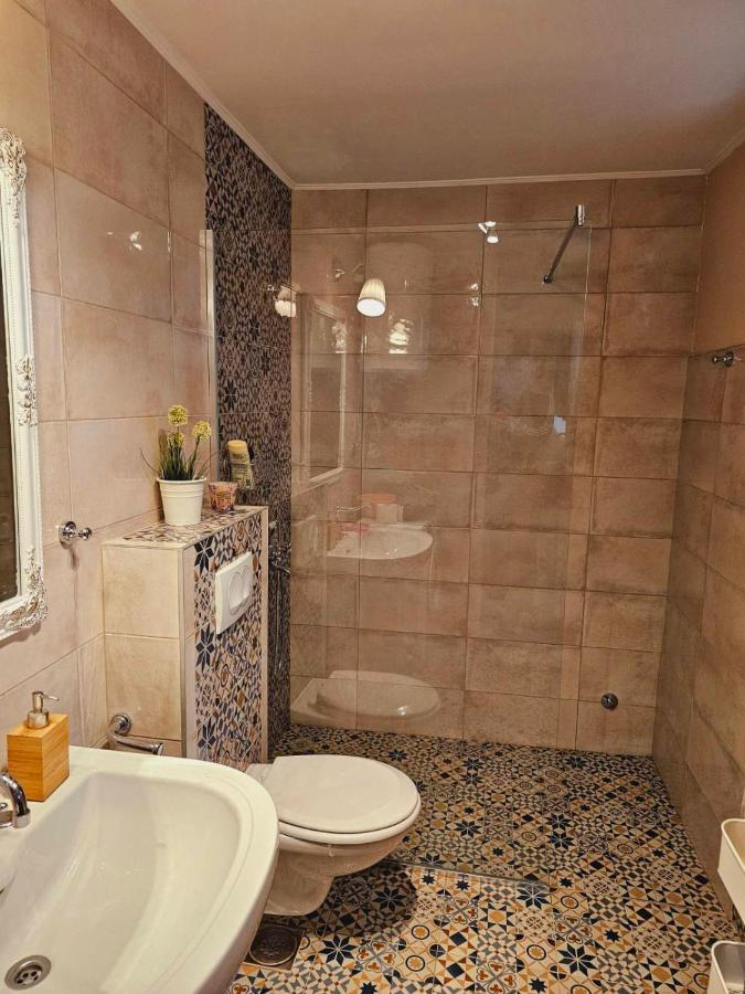 Villa Fruska House Besenovacki Prnjavor Esterno foto