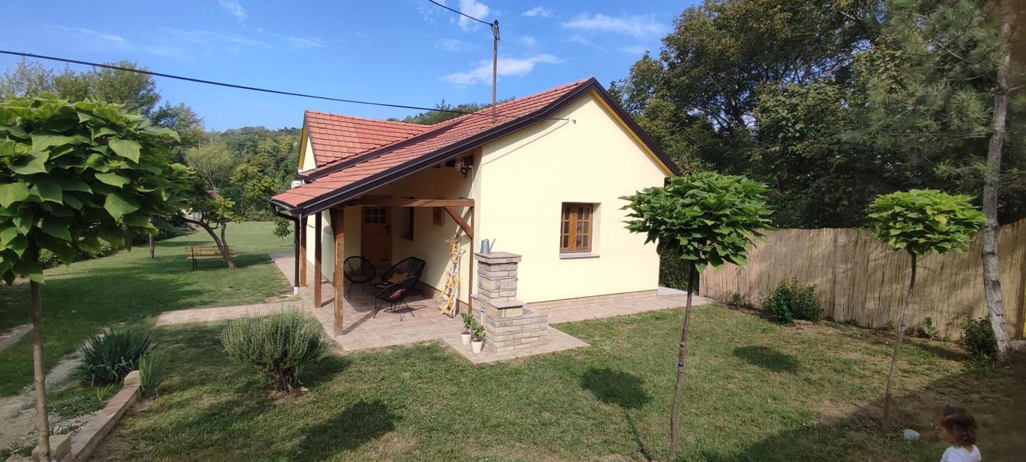 Villa Fruska House Besenovacki Prnjavor Esterno foto
